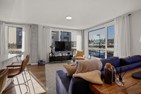 a living room with a navy blue couch and a tv